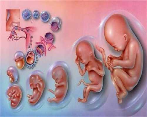 代孕期间喝酒对胎儿有哪些影响？