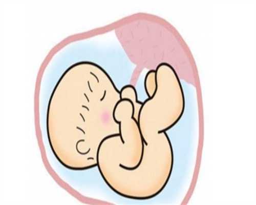 半年前做完输卵管通水说输卵管是通的，后代孕