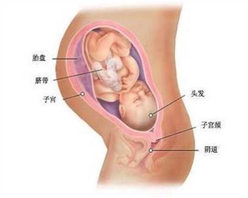 代孕初期左侧小腹痛 代孕初期症状小腹痛正常吗