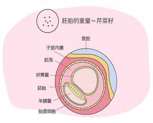 成都代孕中心官方网站_成都代孕包成功多少钱