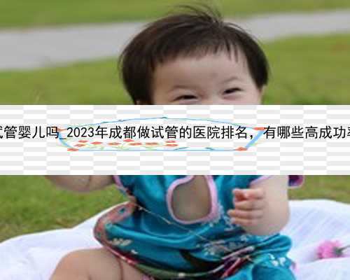 上海有第三代试管婴儿吗_2023年成都做试管的医院排名，有哪些高成功率医院上